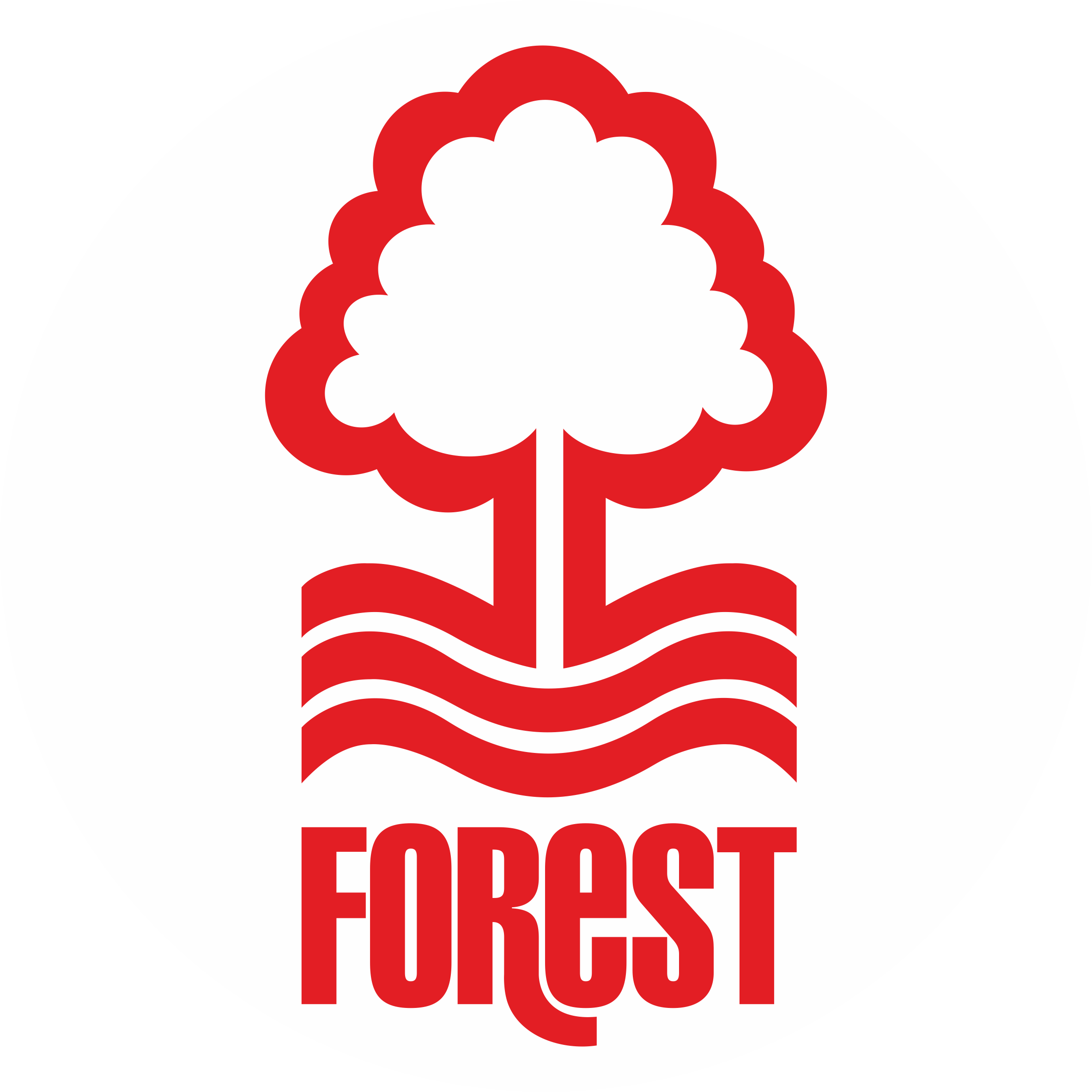 Finance Director - Nottingham Forest Football Club Logo