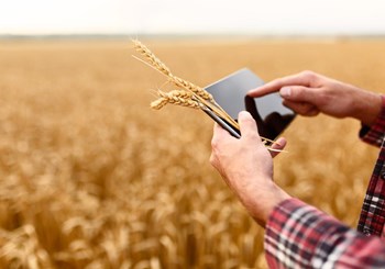 Making Tax Digital in the Agricultural Industry Image